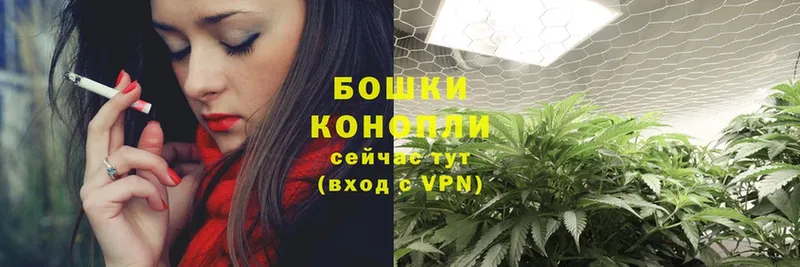 Конопля OG Kush  Апатиты 